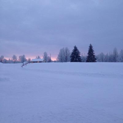 depsterD's profile picture. 