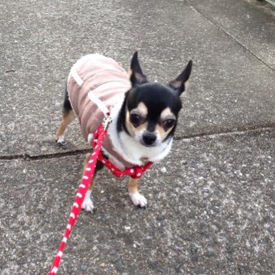 s_maki's profile picture. 