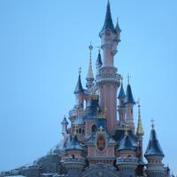 Rachel Lewis (@rachel36lewis) 's Twitter Profile