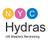 NYC Hydras