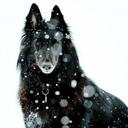 Carlos Luis Vasquez - @Vascar86 - Twitter