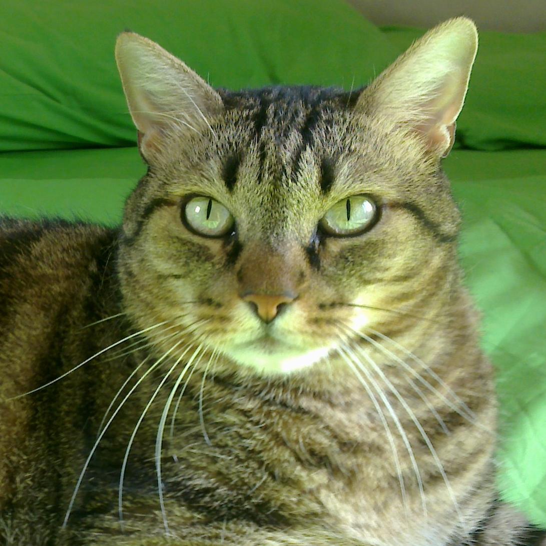 Logan_77_'s profile picture. 