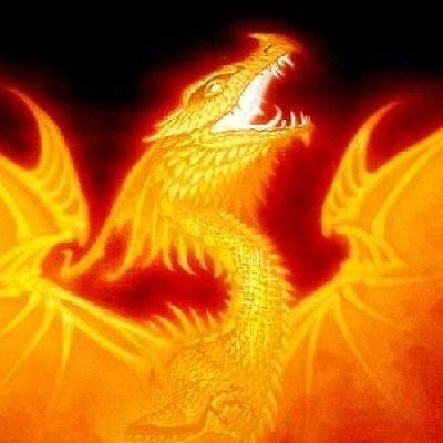 A dragon of fire,she is very calm and can be a bit harsh,but will not hesitate to burn you. || #OpenRP | #Multiverse