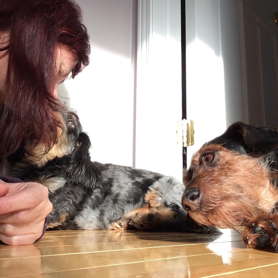 konalady41's profile picture. 