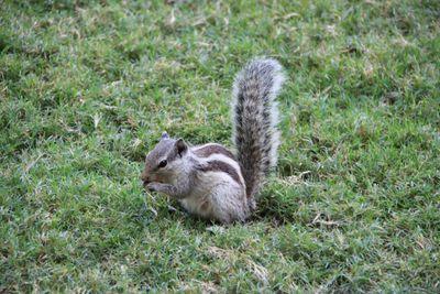 sophiebordot's profile picture. si vous attendez les gens oublient l'appareil et leur âme pénètre dans l'image(Steve Mccurry)