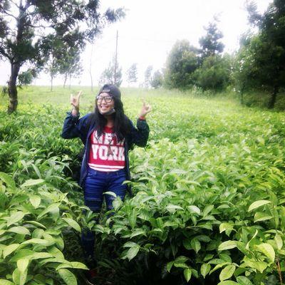 Fb Uum New II
Ig Umriah New II
Pin 5894AF3F