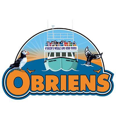 obrienstours Profile Picture