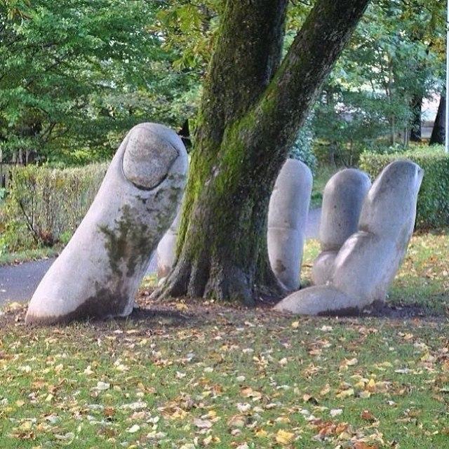 bopokac's profile picture. 