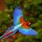 Tweeters_Man's profile image
