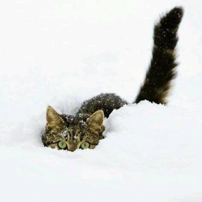Il n'y a rien de plus beau qu'une clef tant qu'on ne sait pas ce qu'elle ouvre. 
Нет ничего красивее ключа, пока не знаешь, что он открывает.
