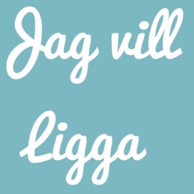 En singelkvinnas dagbok.