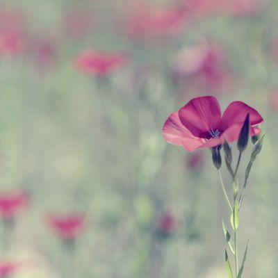 EurydisS's profile picture. 