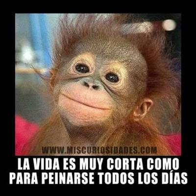 gravirdis's profile picture. Colombiano con empleo, viviendo tranquilo afuera pero con nostalgia