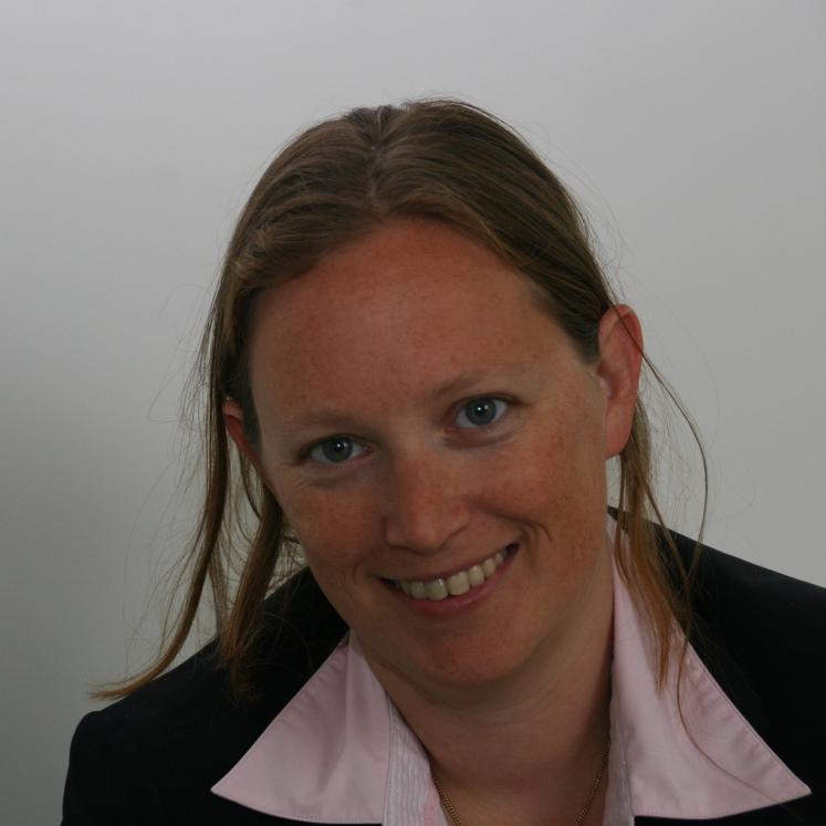 Expert op het gebied van samenwerken: facilitator, trainer, onderzoeker, adviseur,...