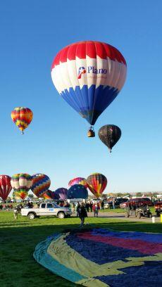 ccarter3007's profile picture. Elementary Librarian