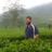 hamed99247005's profile image