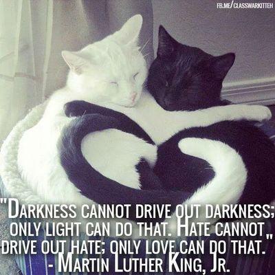 52583c872cb9408's profile picture. Mother, wife, enthusiastic, hard worker.