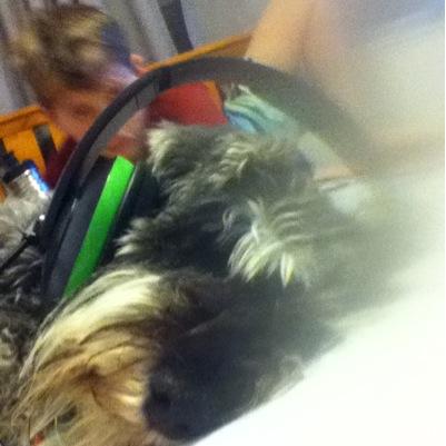 BirdReihana's profile picture. Sorry no bio dont know what to put