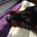 Ericka Olsen - @blackbelt2b - Twitter