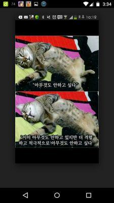 swchocochou's profile picture. 23살