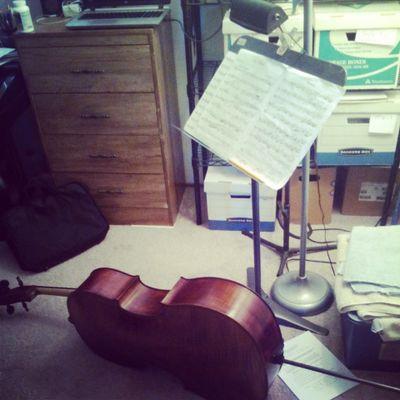 OMerjanian's profile picture. 