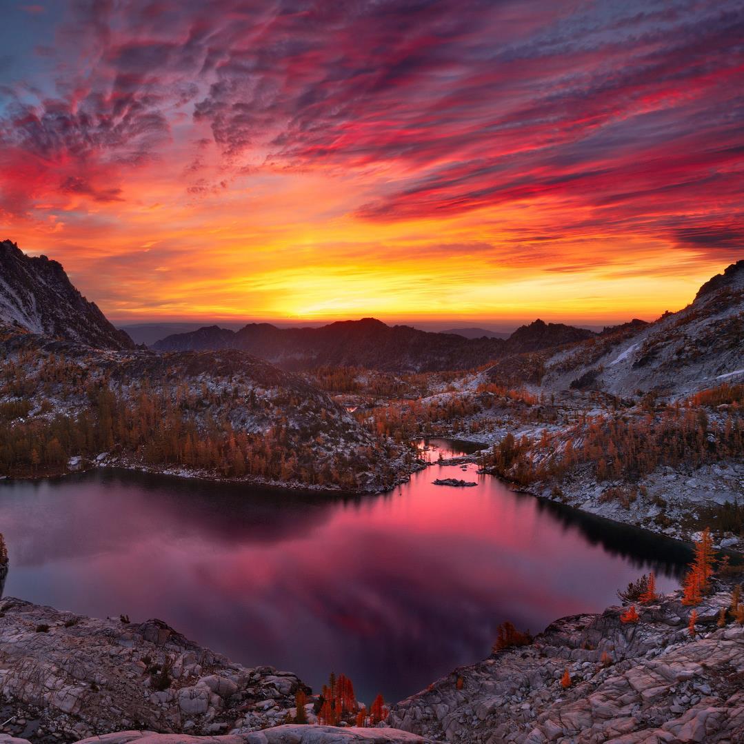 CoriNeuber's profile picture. 