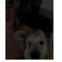 Billy Childs-Carlile - @childscarlile - Twitter