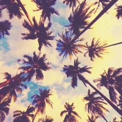 simonayeah's profile picture. ----