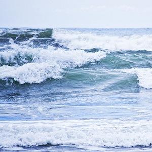 alisonraddd's profile picture. im better than u