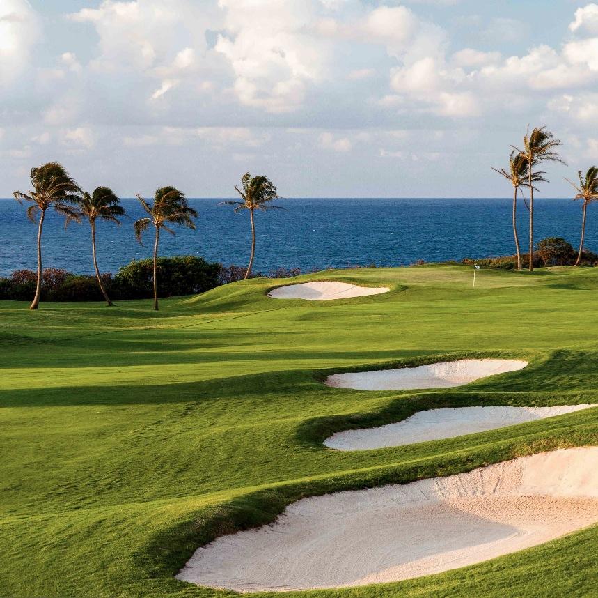 KauaiLagoons's profile picture. 