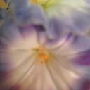 Denise Walters - @Denise46045 - Twitter