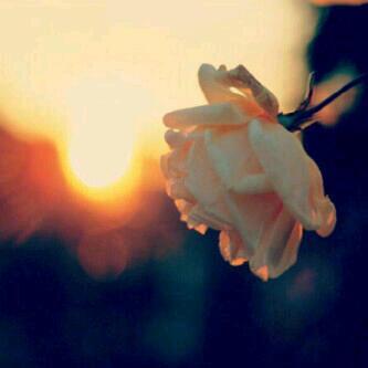 ‏مرحبا بالىى يتابع واشرف فيككم .....♥
