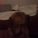 Pierre Lawrence - @Pierre_Lawrenc1 - Twitter