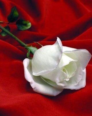 ‏‏الحساب مغلق  . close