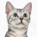 Taylor cooke - @triforcecult - Twitter