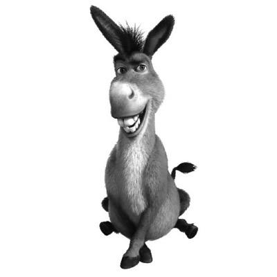 antirotation Profile Picture