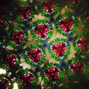 Samara Ferguson - @ferguson_samara - Twitter