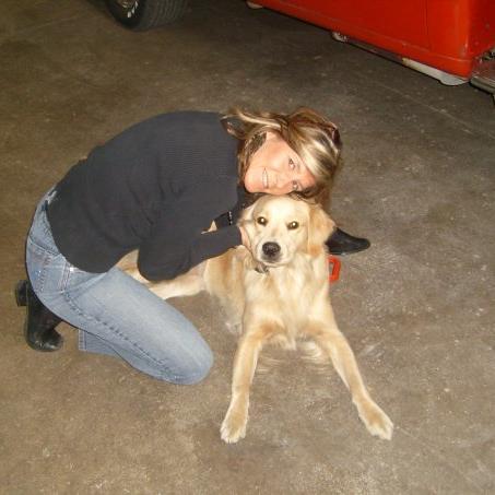 Golden Retriever Believer