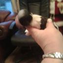 olivia marsh - @livy250809 - Twitter