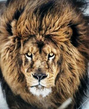 jomst33's profile picture. Si estás triste, sonríe, llorar es demasiado fácil.