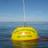 CDIPBuoys's profile image