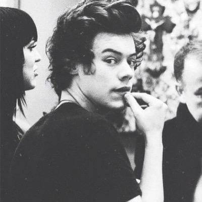 Harry Styles enthusiast.