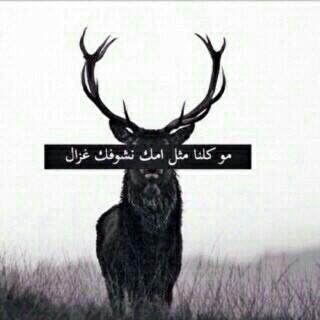 كلهم لا ملوا يا عين ابوي يرحلون...!