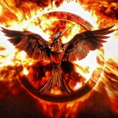 ~ If we burn, you burn with us! ~