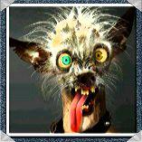 lito1477's profile picture. just here to see nice pics , you can send me some if it's worth sending