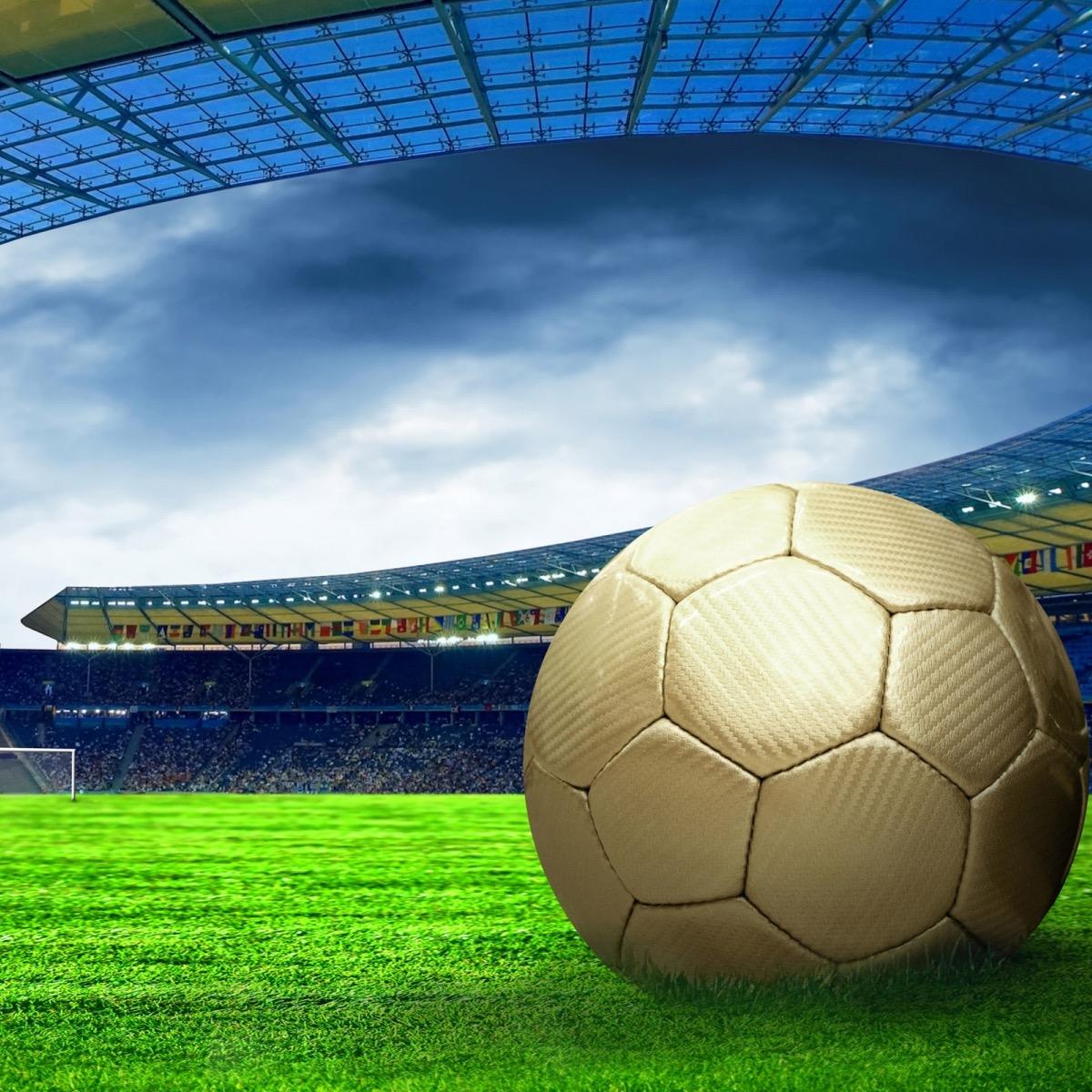 Soccer, Football, Fútbol, its all the same.  Following back all our fans!