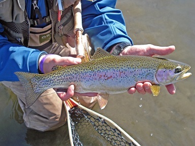 Tyler_M_Johnson's profile picture. 