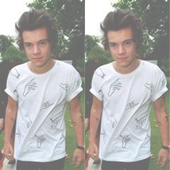 eu amo o @harry_styles