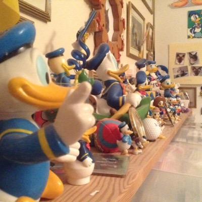 Carol_TDHM's profile picture. 