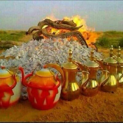 اغرد بسخريه بحدود الادب !